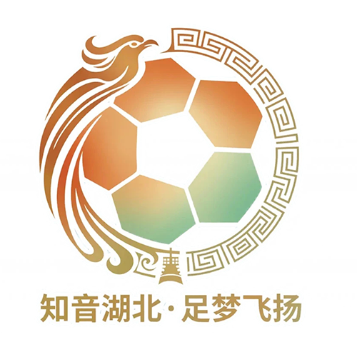湖北省城市足球联赛 武汉华工科技队VS黄冈祥云队20260927